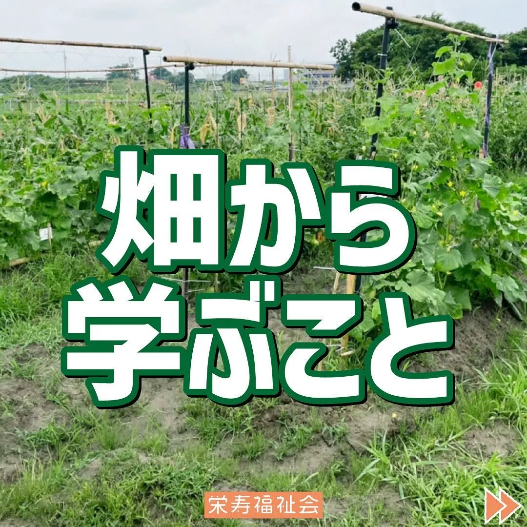 ＼畑から学ぶこと💡／