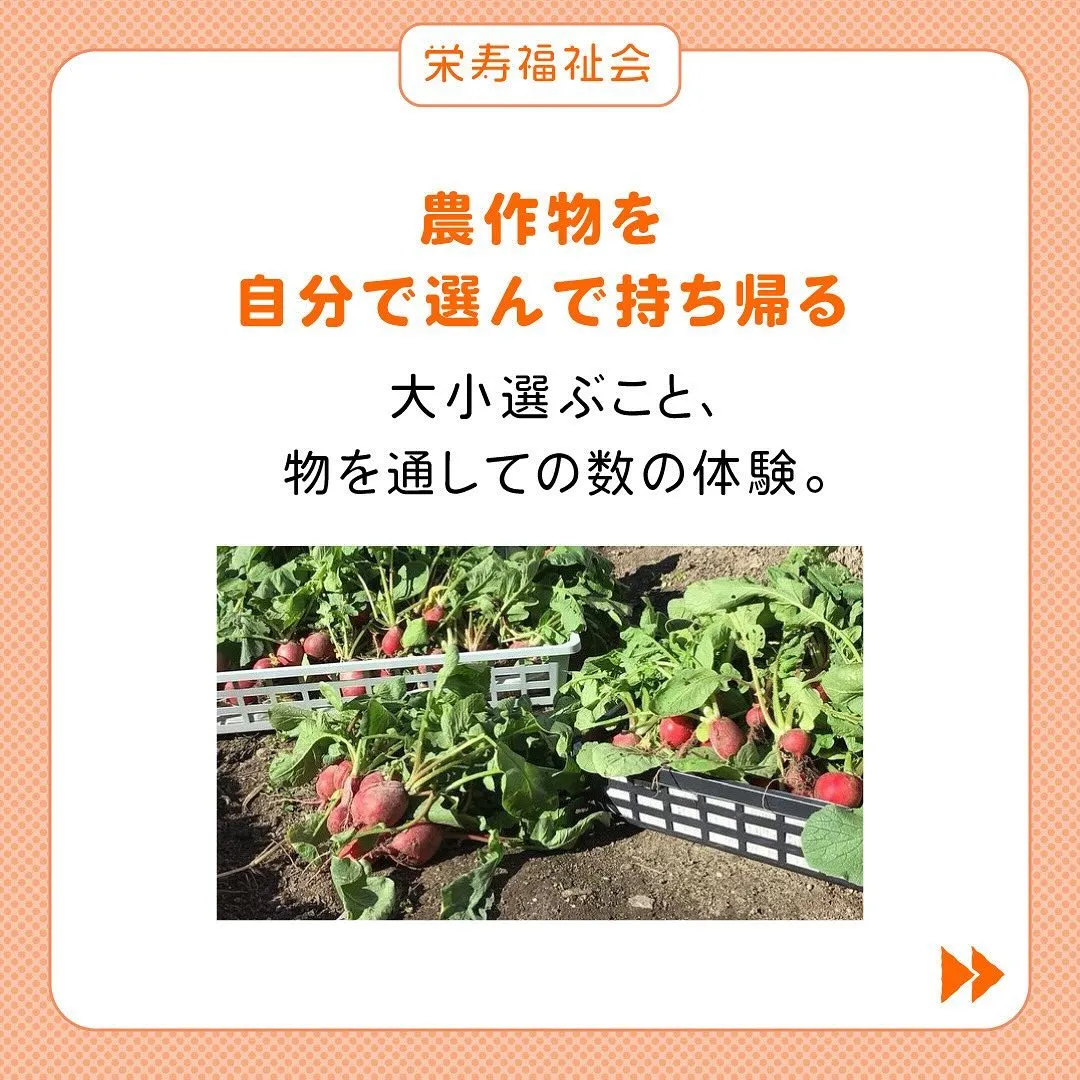 ＼畑から学ぶこと💡／