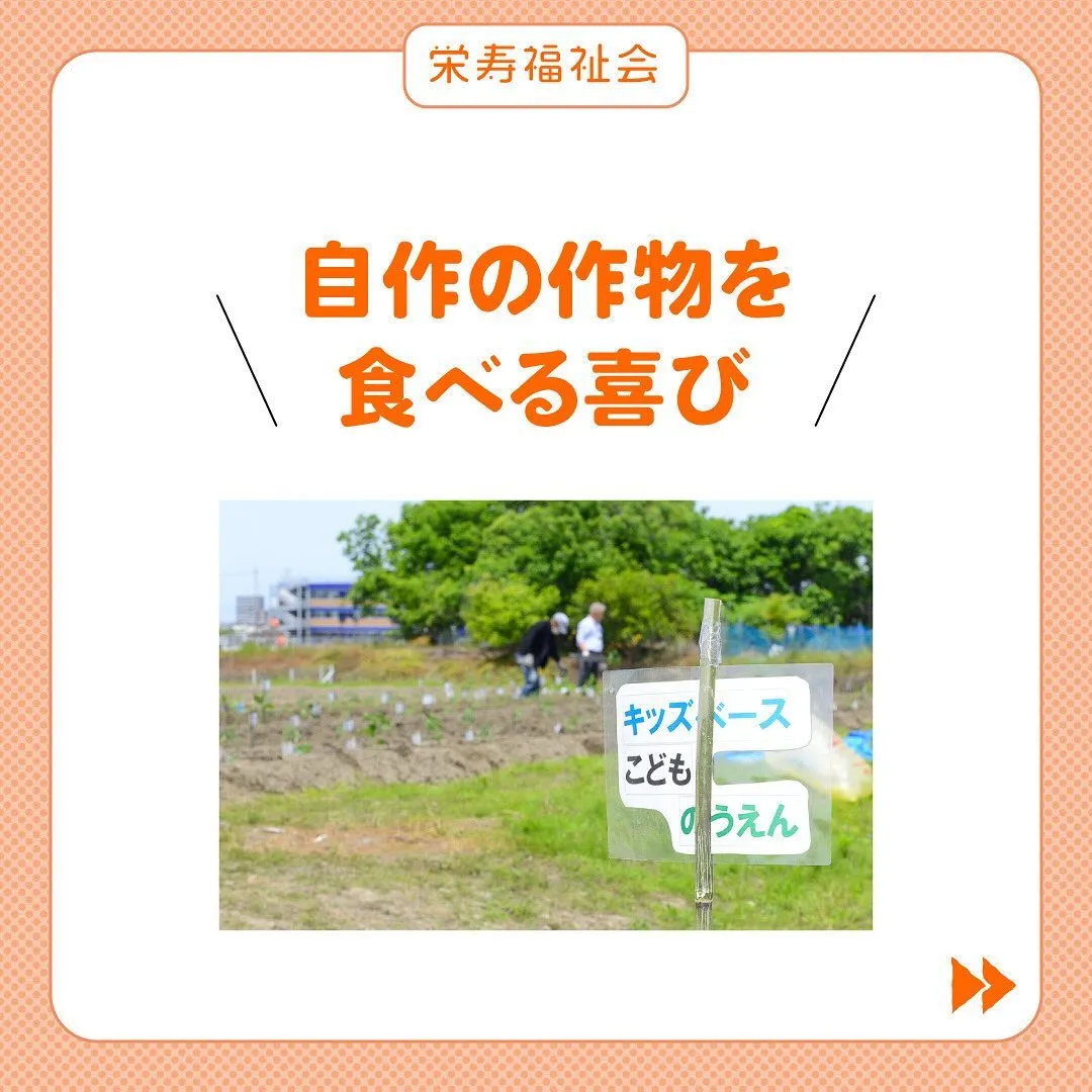 ＼畑から学ぶこと💡／