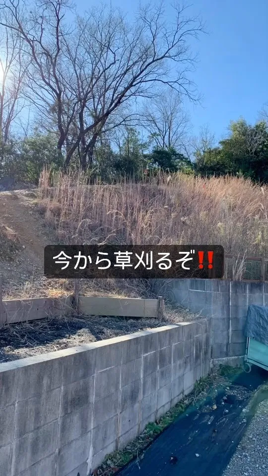 #土原の丘保育園 で本日は保育士3人で草刈り中〜😍🤙