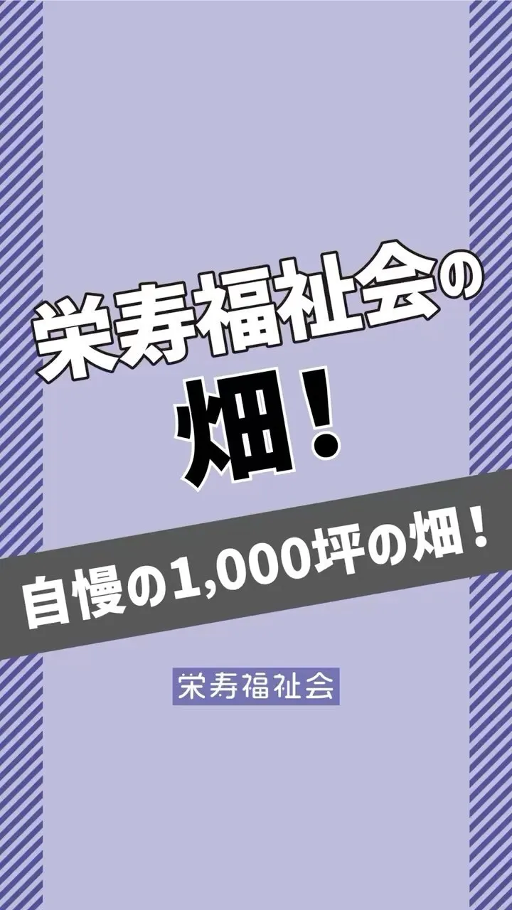 ＼栄寿福祉会の畑‼️／