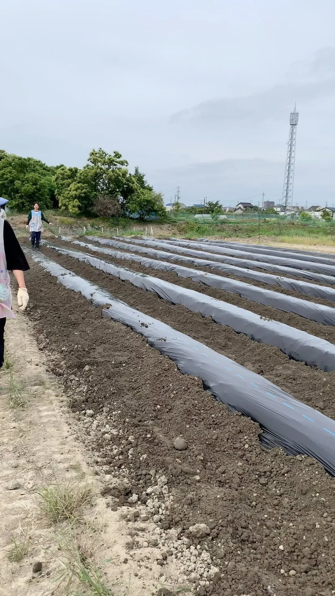 本日、8園の職員が揃って