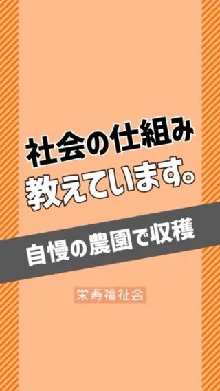 ＼社会の仕組み教えています🤗／