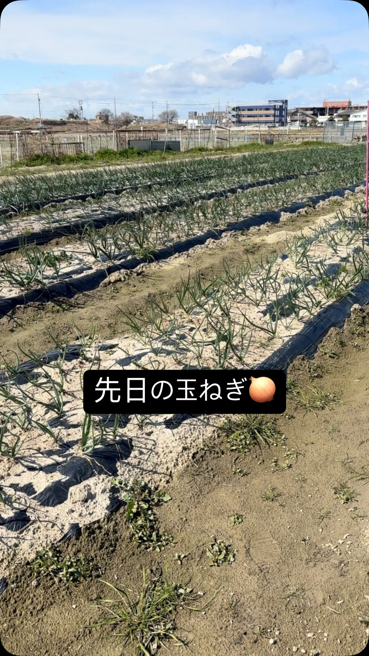 大収穫の予感😍😍😍