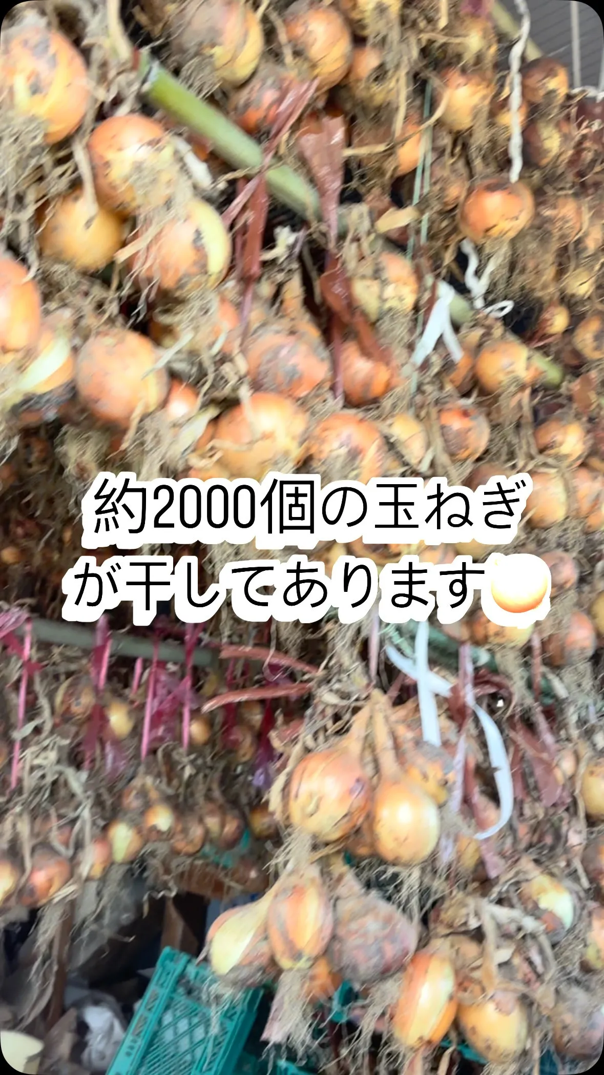 あるスーパーで子ども1日店長を企画中🤭