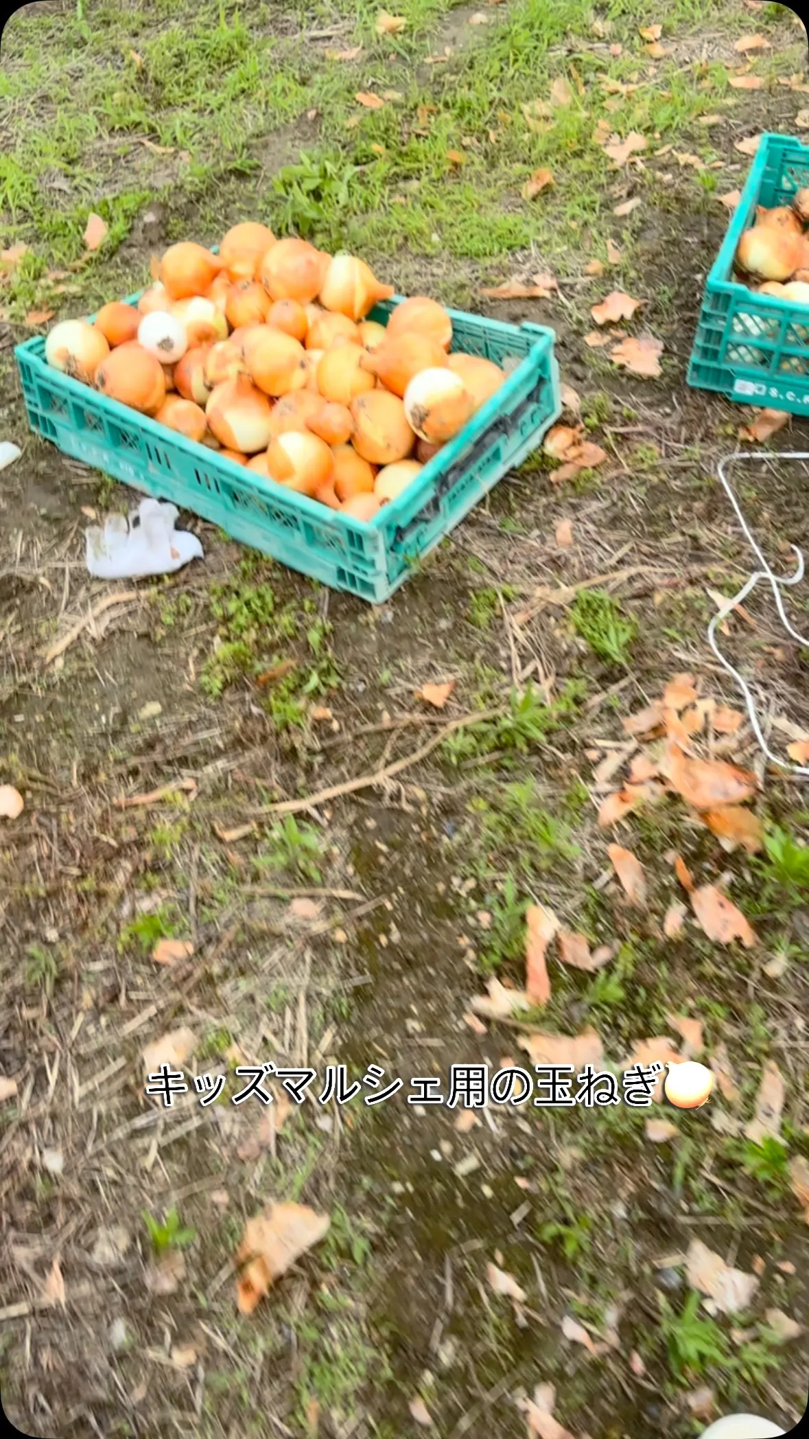 キッズマルシェに向けて準備は着々と😊☝️